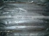 High Quality Frozen Ribbon Fish photo-3