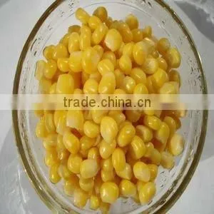 Yellow Corn for Sale