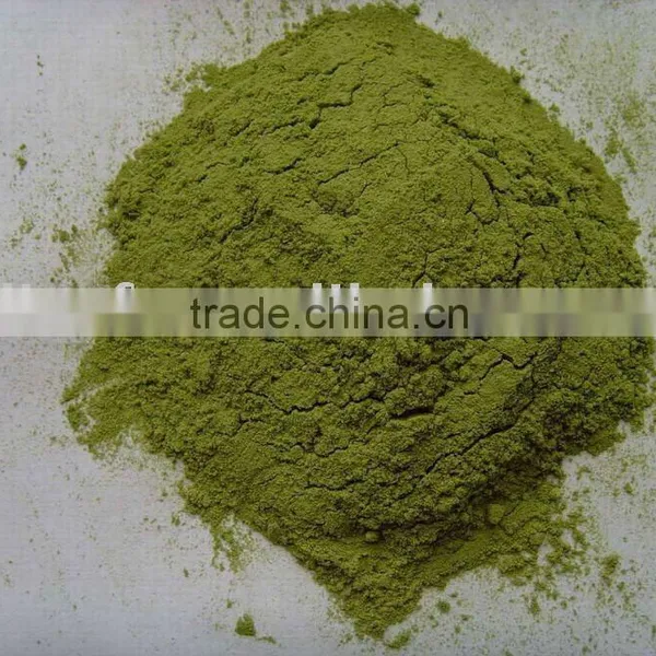 Dehydrated Spinach Powder photo-4
