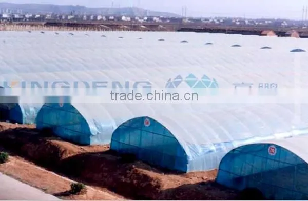 Tunnel Greenhouse for Sale photo-3