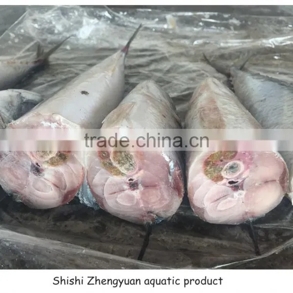 BQF Cheap Price Good Quality Frozen Pacific Mackerel photo-2