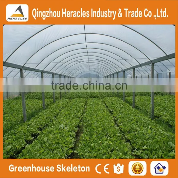Heracles Economical Plastic Commercial Low Cost Multi Span Plastic Greenhouses With Automatic Irrigation System photo-2