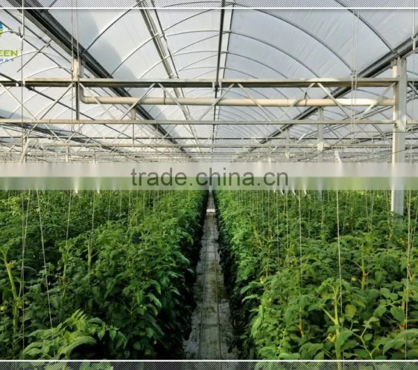 Long Life Multi Span Plastic Film Greenhouse for Hydropnonic Agriculture photo-2