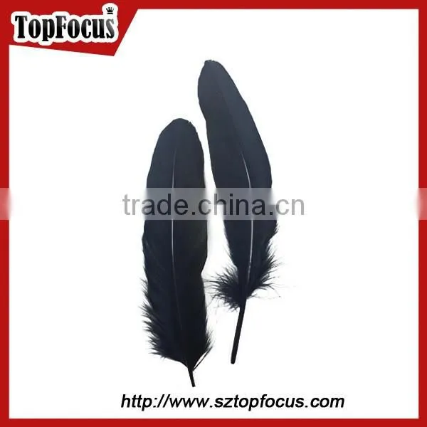 Dyed Colored Purple and Black Goose Feather and Down for Sale photo-3