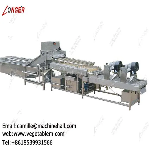 Fruit and Vegetable Washing Machine Manufacture|Tomato Washer|Spinach Cleaning Machine photo-4