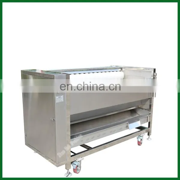 Automatic White Radish Carrot Skin Remove Peeling Washing Machine Potato Ginger Yam Vegetable Fruit Peeler photo-7
