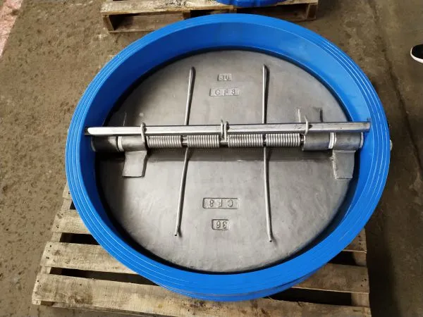 Cast Iron Wafer Type Butterfly Check Valve Ductile Iron CF8 Disc Check Valve
