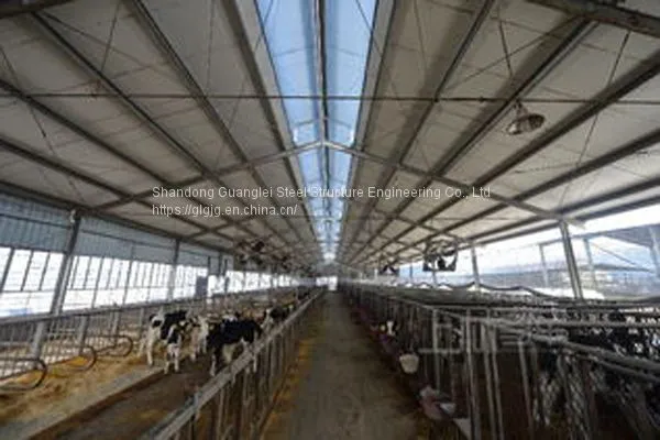Prefabricated Light Steel Structure Cattle Barn Cattle Farm photo-2