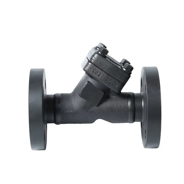 High Quality Forged Steel Filter Flange Y-shaped Filter