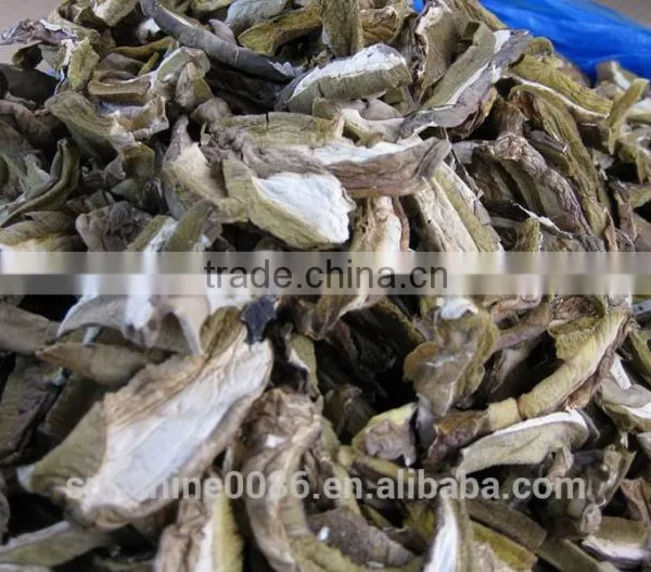 Dried Boletus Mushroom photo-5
