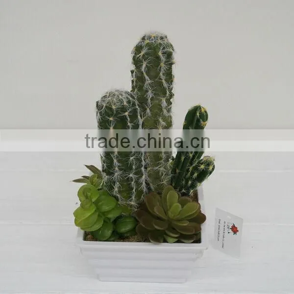 New Arrival Decorative Artificial Plants/ Succulent Plants Mixed Series photo-3
