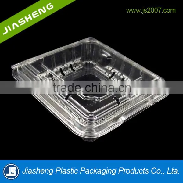 PET Clear Plastic Clamshell Blueberry Containers Factory Supplier photo-3