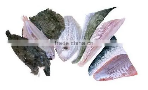 Fish Skinner Machine /Fish Skine Peeling Machine photo-6