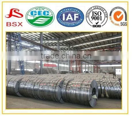 Prepainted Galvanized Steel Coil photo-2