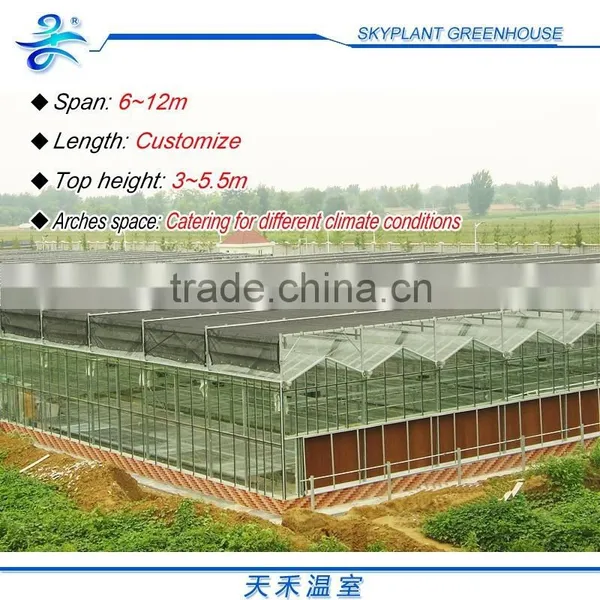 Horticultural Glass Greenhouse Multi-span Glass Greenhouse photo-5