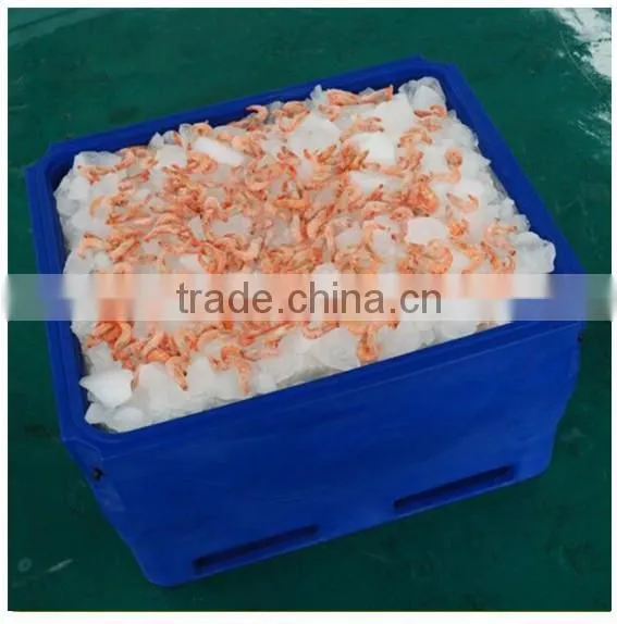 1000L Rotomold Insulated Box for Fish Transport, Insulated Fish Box for Storing photo-4