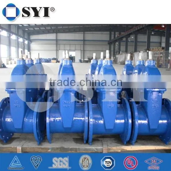 Ductile Iron API Gate Valve photo-2