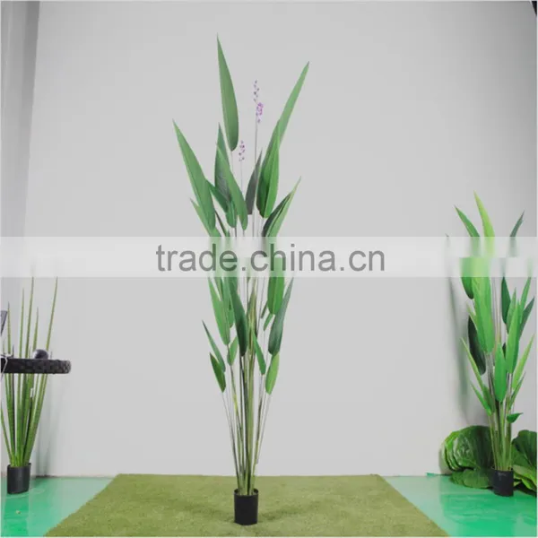 Artificial Plant Water Beauty photo-4