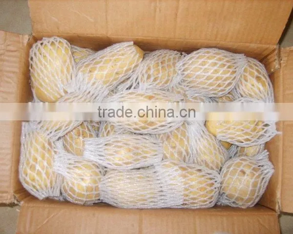 Whole Sale Big Quantity Fresh Yellow Potato (chinese) photo-5