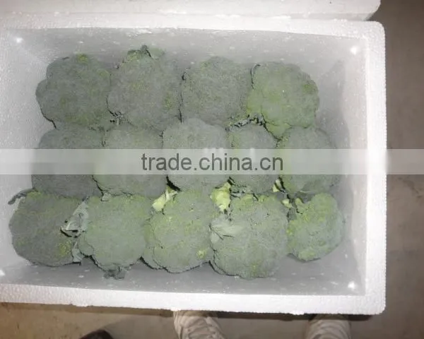 7.5kg Foam Box Chinese Broccoli photo-2