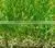 Cheaper Artificial Turf photo-2