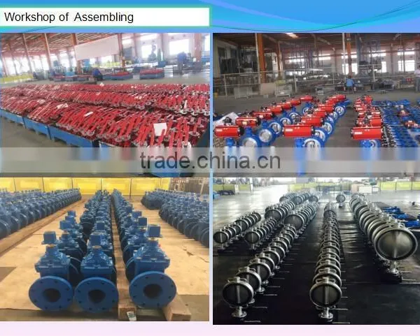 China OEM Investment Casting Valve Disc photo-5