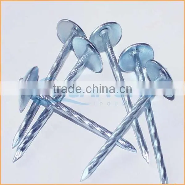 Top Quality Roofing Nails With Pvc Washer Trusted Chuanghe Suppliers From Com photo-2