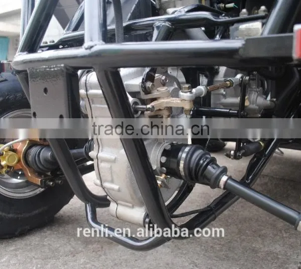 250cc Dune Buggy Made in Renli Cheap for Sale photo-5