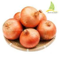 Fresh Onions Yellow Onions