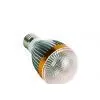 LED Globe Bulb A-P3W3D-QP