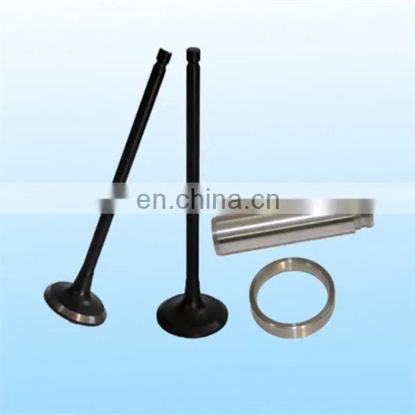 Motorcycle Engine Parts for Cg125 Cg125del Bajaj 205cc Cg1000 Engine Valve photo-2