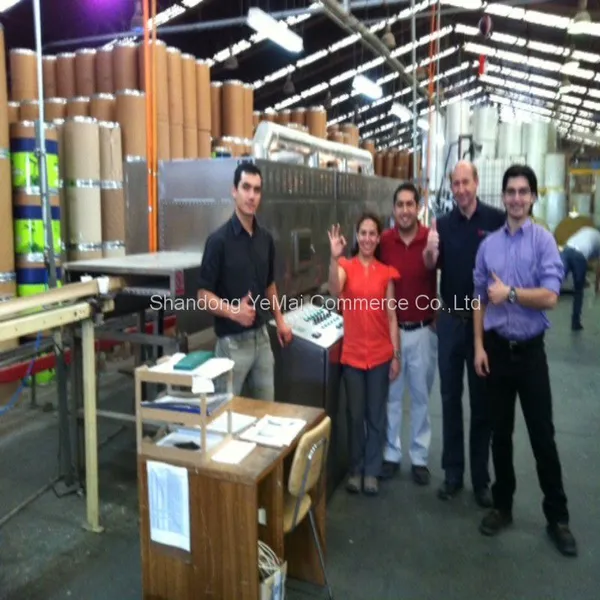 High Efficiency Paper Microwave Curing Machine