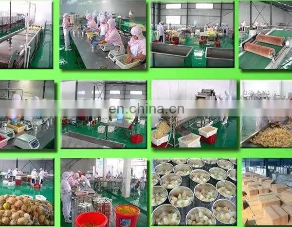 2023 New Hot Sale Fresh Fruits Vegetables Salad Washing Slicing Packing Processing Line for Supermarket photo-5