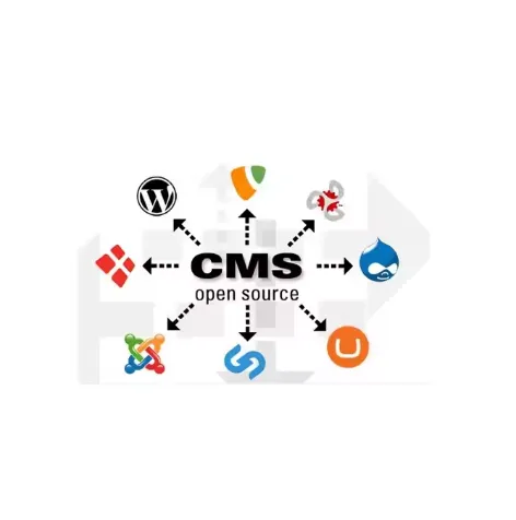 Web Developers Web Design Custom Content Management Software for Business Growth Available at Wholesale Price