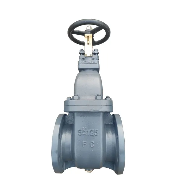 JIS Certified Marine Gate Valve with FC250 Handwheel for Easy Operation in Ship Engineering