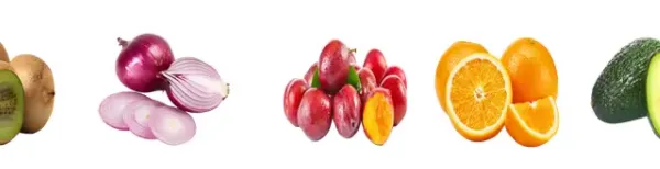 Easy Operation Fruit and Vegetable Waxing and Sorting Machine Citrus Orange Grading and Waxing Equipment photo-5