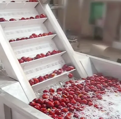Turnkey Project Complete Set of Palm Dates Processing Line Date Syrup Production Line