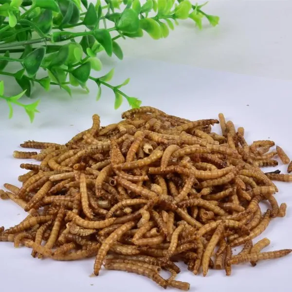 YiHealth Dried Mealworm (Tenebrio Molitor Larva) photo-1