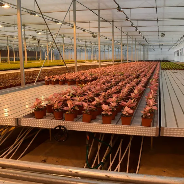 Tidal Seedbed Greenhouse Hydroponic Growing Bench For Plant Nursery photo-3