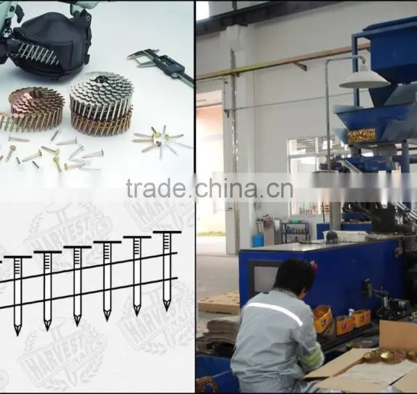 China Manufacturer Coil Nails /galvanized Roofing Coil Nail photo-3