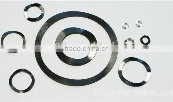 High Precision Crest to Crest Stainless Steel Wave Springs photo-2
