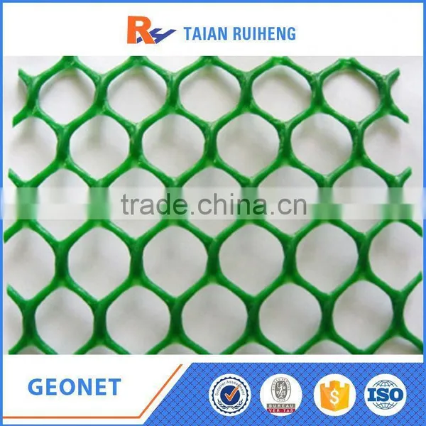 Thermoplastic Resin Geonet photo-5