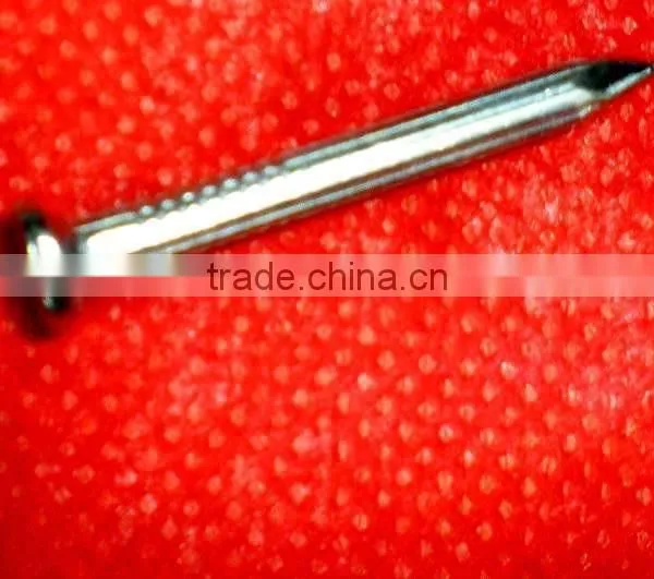 Best Quanlity Diameter 2.8mm Concrete Nail Concrete Nails photo-4