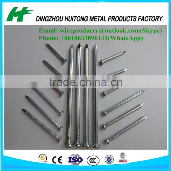 Common Iron Wire Nails