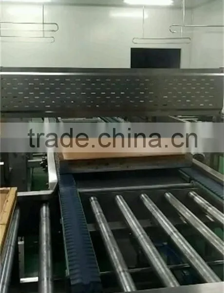 Thermal Radiant Type Wide Hearth Tunnel Oven for Cake photo-3