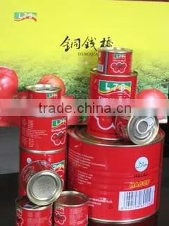 4.5KG High Quality Manufactory China Factory Canned Tomato Paste photo-5