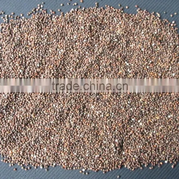 Brown Perilla Seeds Red Perilla photo-5