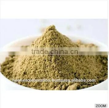 Best Quality Coriandrum Sativum Powder