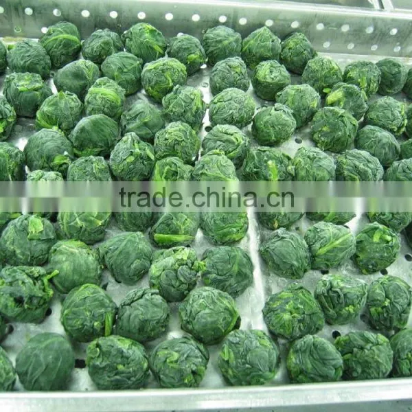 IQF Fresh Spinach photo-3