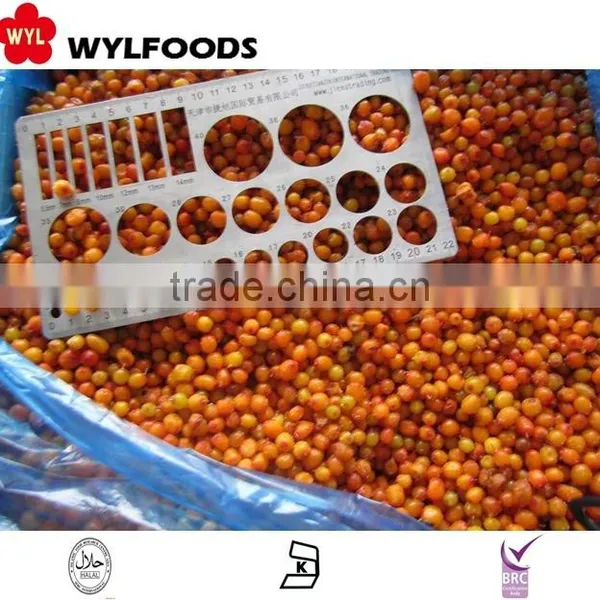 IQF China Price for Frozen Sea Buckthorn High Quality photo-4